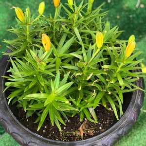 Meet your Posher, Barbara